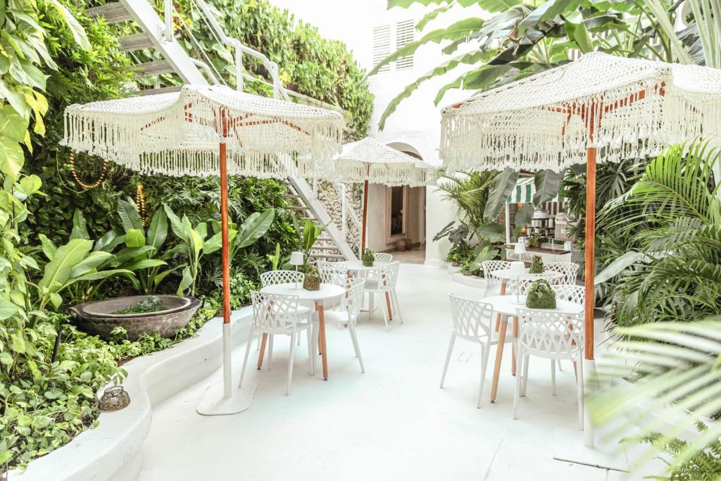 Zahrada ubytování Casa Diluca Cartagena Hotel Boutique