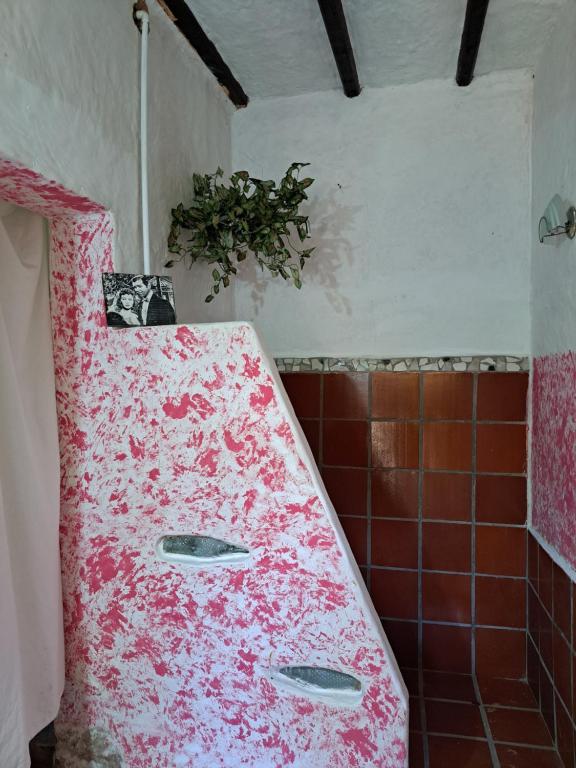 uma cozinha com uma bancada rosa na casa de banho em La Casa del Mango em Pampatar