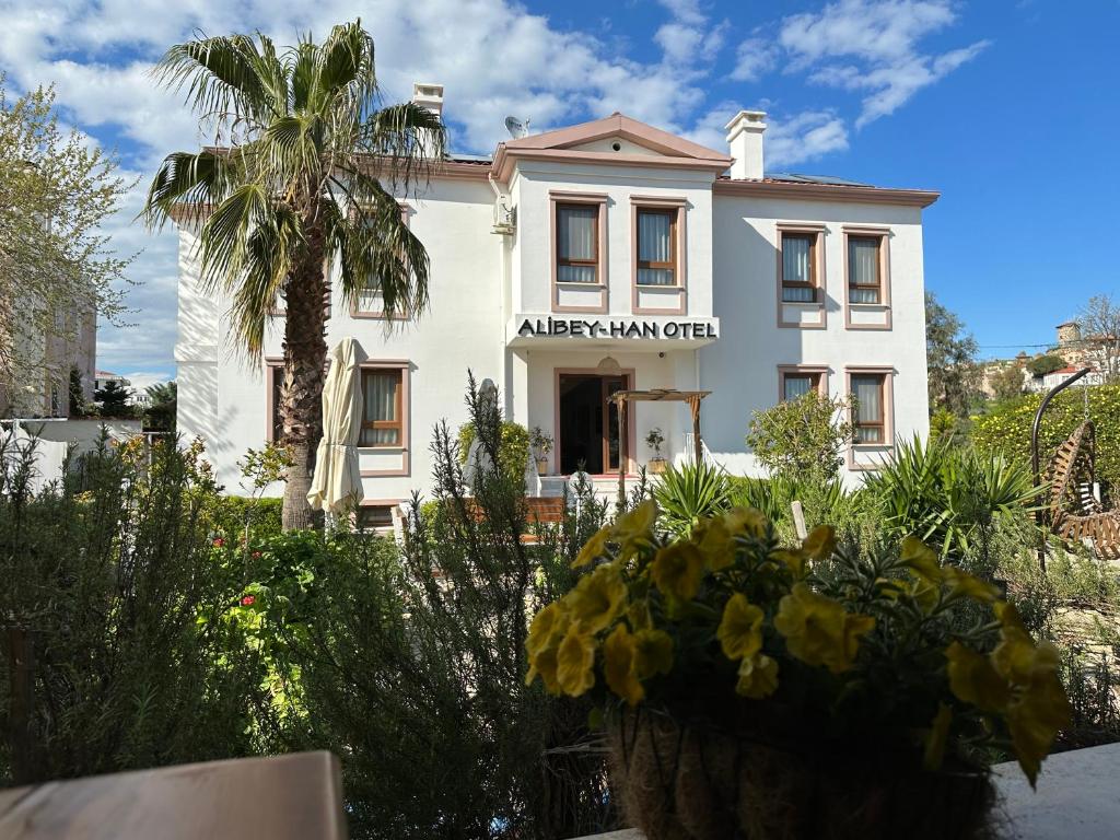 a white building with a palm tree in front of it at Cunda Alibeyhan Otel in Cunda
