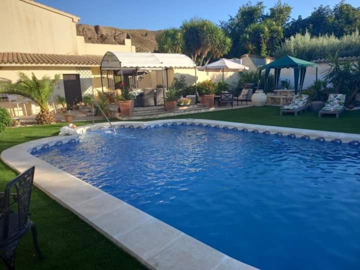 a large blue swimming pool in a yard at Cortijo Esquina B&B Guesthouse in Arboleas