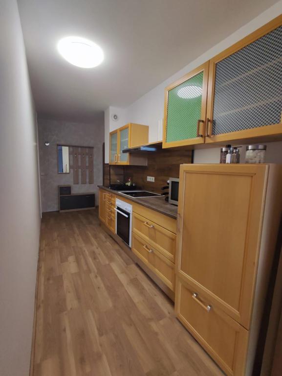 Kuchyň nebo kuchyňský kout v ubytování Apartment Renata Irdning Pichlarn