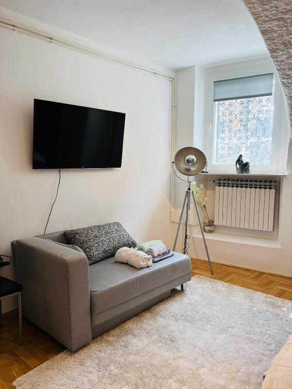 Телевизор и/или развлекательный центр в Downtown secret apartment