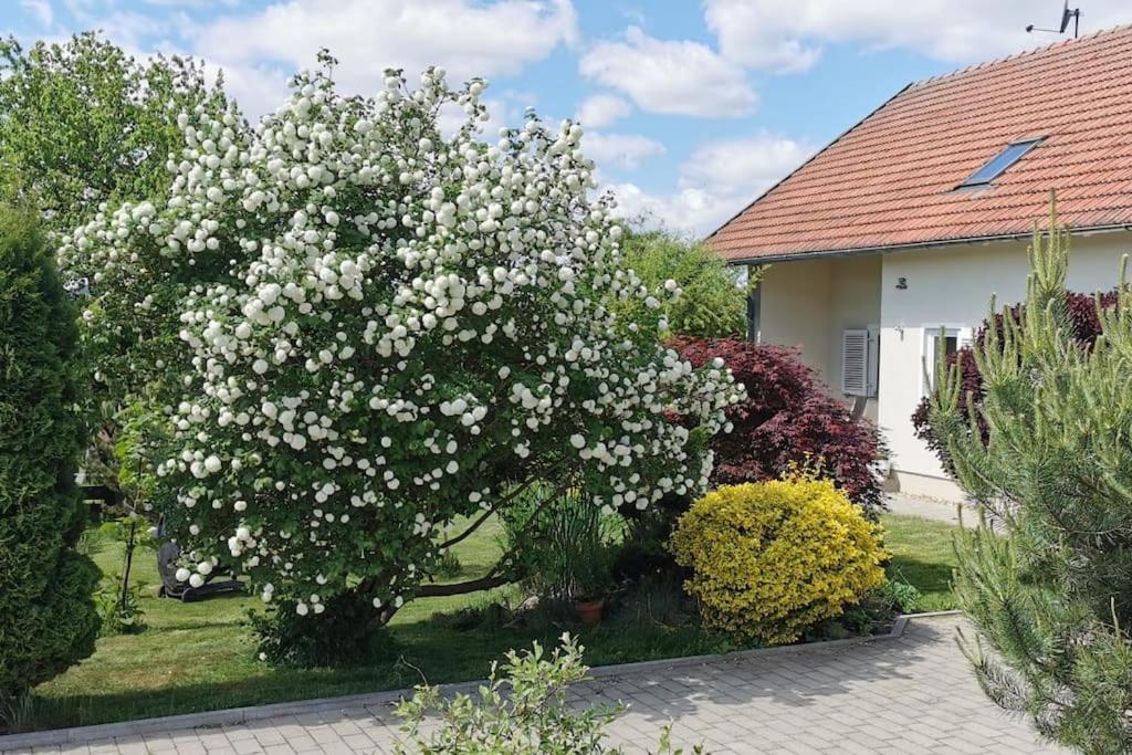 un árbol florido delante de una casa en Ferienhaus Ruhe Oase im Bayerischen Wald, en Traitsching