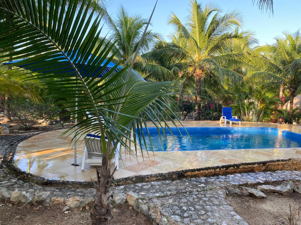 uma palmeira sentada ao lado de uma piscina em Villa Tortugas em Akumal
