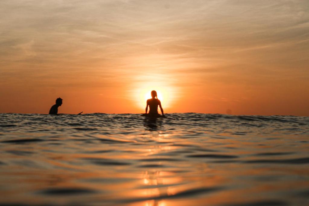 Гости Zeneidas Surf Garden