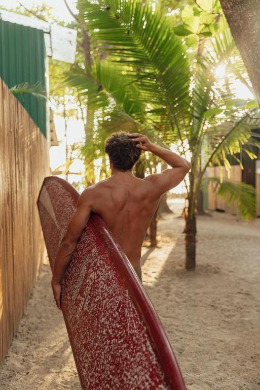 Гости Zeneidas Surf Garden