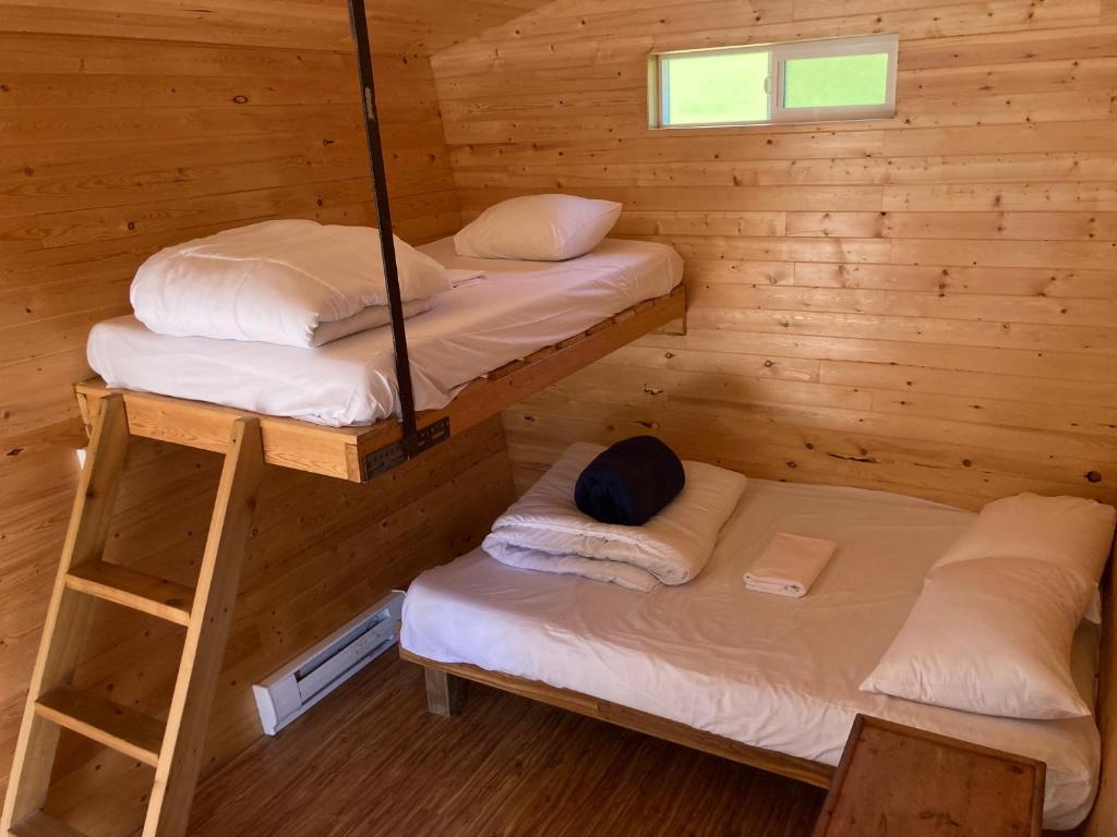 a cabin with two bunk beds and a window at The Hiker Huts in Port Renfrew