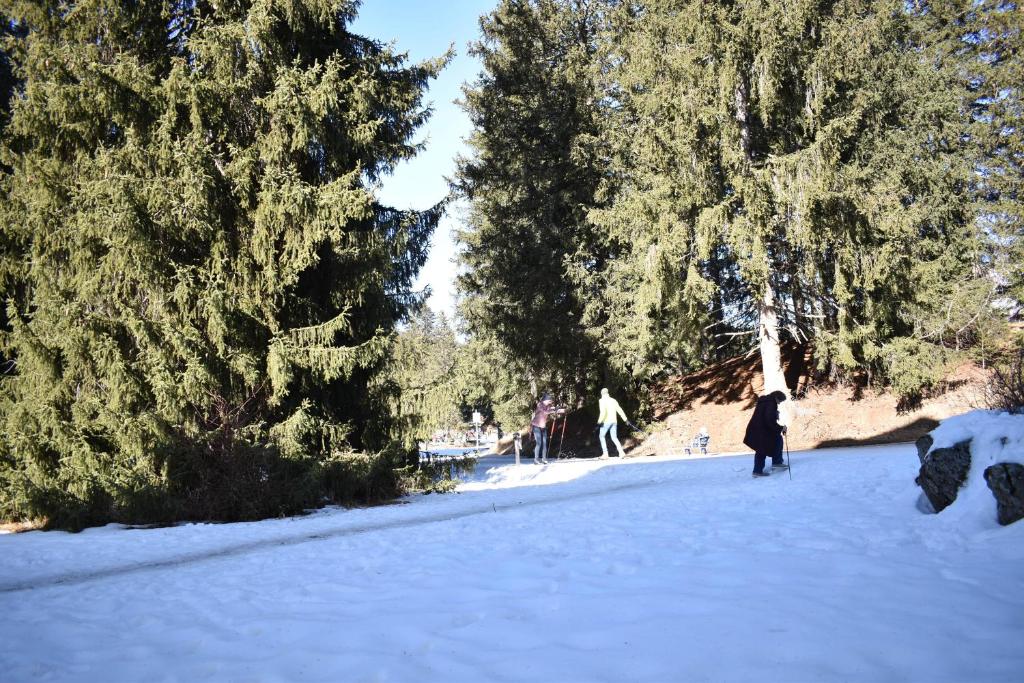 Seegarten A 110 Wy v zimě