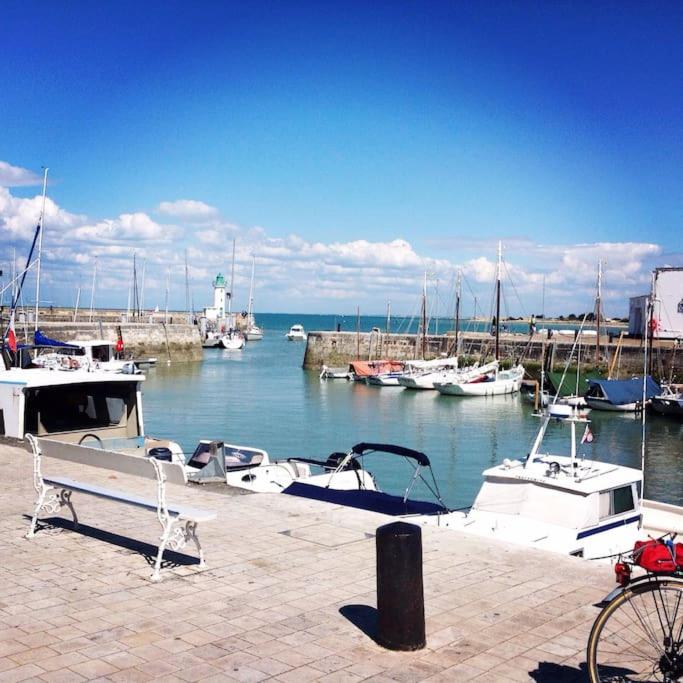 un groupe de bateaux amarrés dans une marina avec un banc dans l'établissement La Voile Bleue de La Flotte, à La Flotte