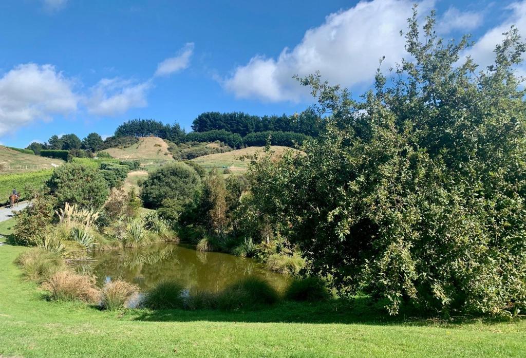 BENROSE FARM COTTAGES - Resim 19