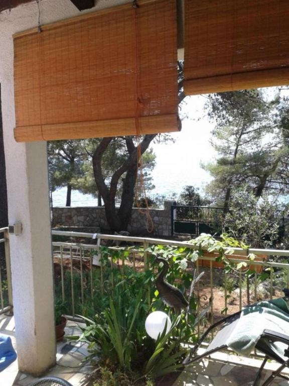 マスリニカにあるHoliday home More - sea viewの塀でポーチに鳥が座っている