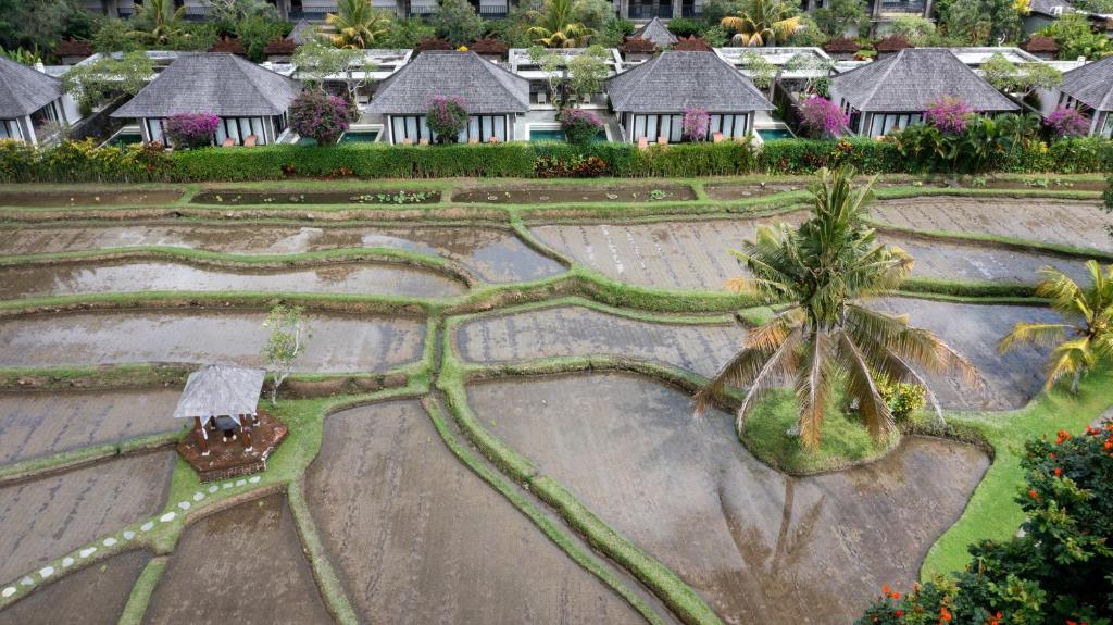 Zahrada ubytování Visesa Ubud Resort
