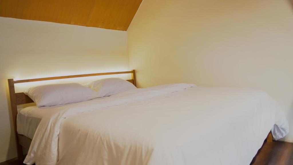 Smedi Coliving & Coffee - Housity