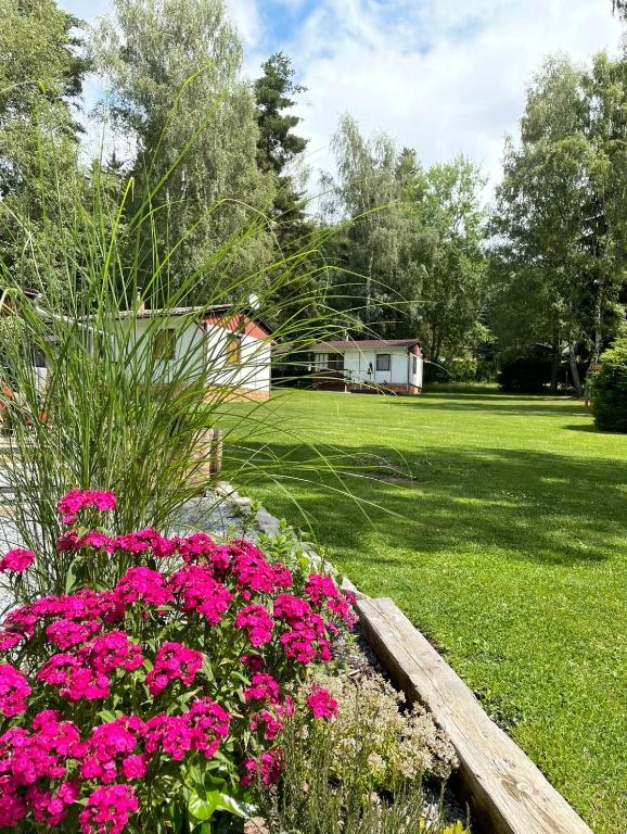 a garden with pink flowers in a yard at Retro chatky Hůrka Lipno in Horní Planá