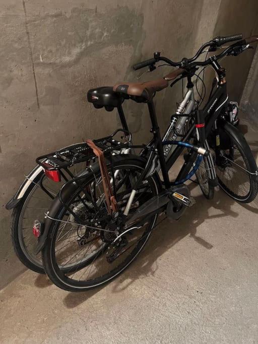 Jazda na bicykli v okolí ubytovania Charmant studio cabin avec piscine.