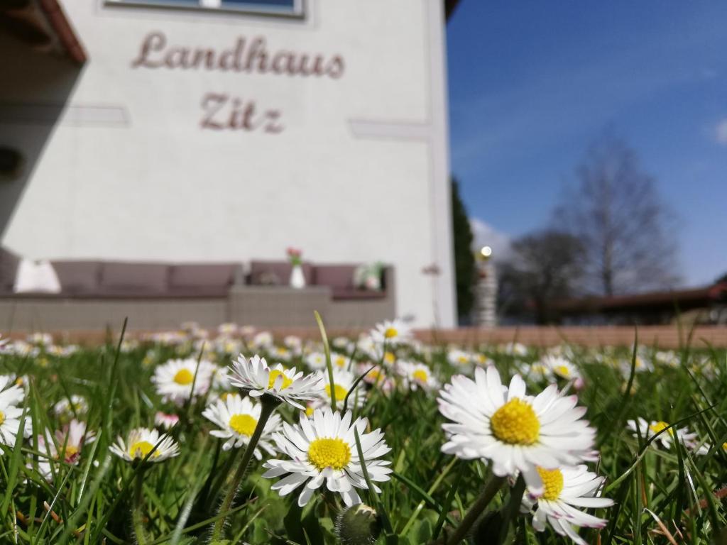 Zahrada ubytování Landhaus Zitz