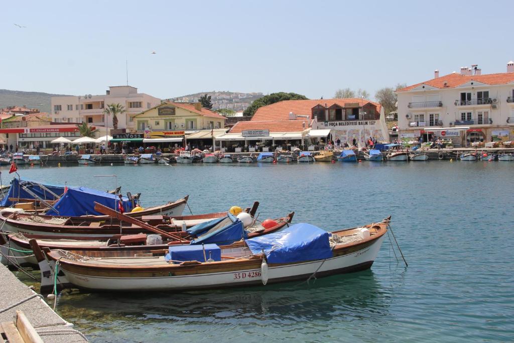 a group of boats are docked in the water at Foça Ensar Hotel in Foça