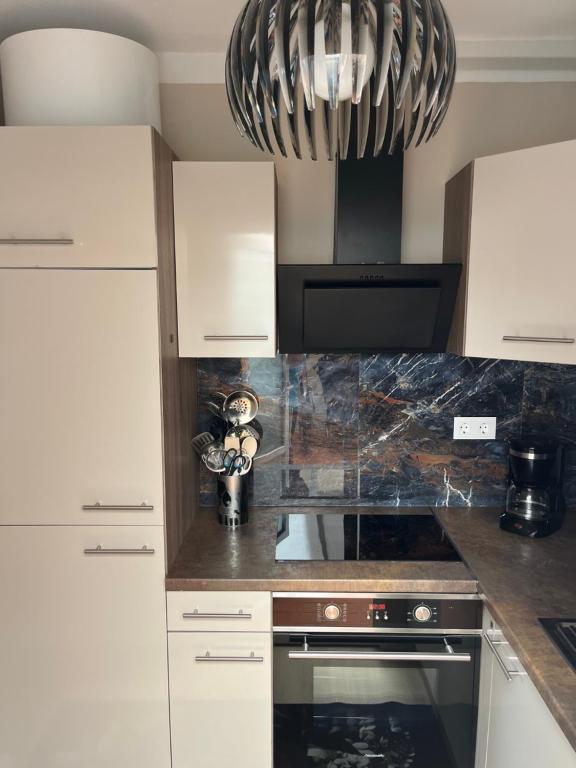 Kuchyň nebo kuchyňský kout v ubytování Appartement Villa-CELINE