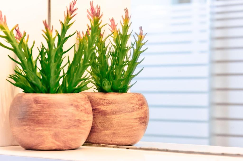 Barbaras Apartments - 19