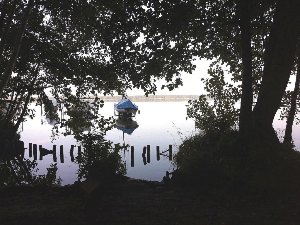 een kleine boot op een meer met bomen bij Bungalow am Schwielochsee in Schwielochsee