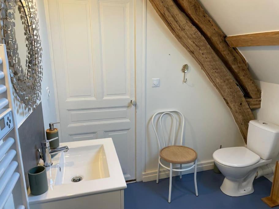 La salle de bains est pourvue de toilettes blanches et d'un lavabo. dans l'établissement Loft Marguerite de Bourgogne, à Tonnerre