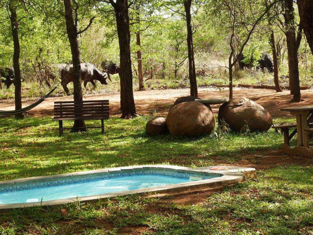 Zahrada ubytování NDZUTI BUSH CAMP