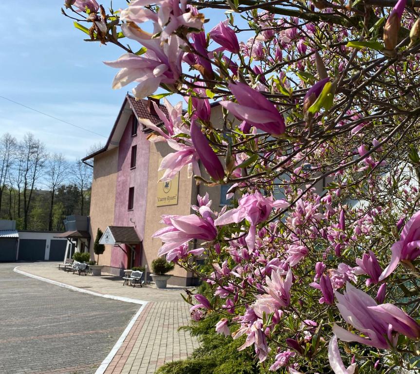 a tree with pink flowers in front of a building at Obiekt "Czarny Rycerz" in Jastrzębie Zdrój