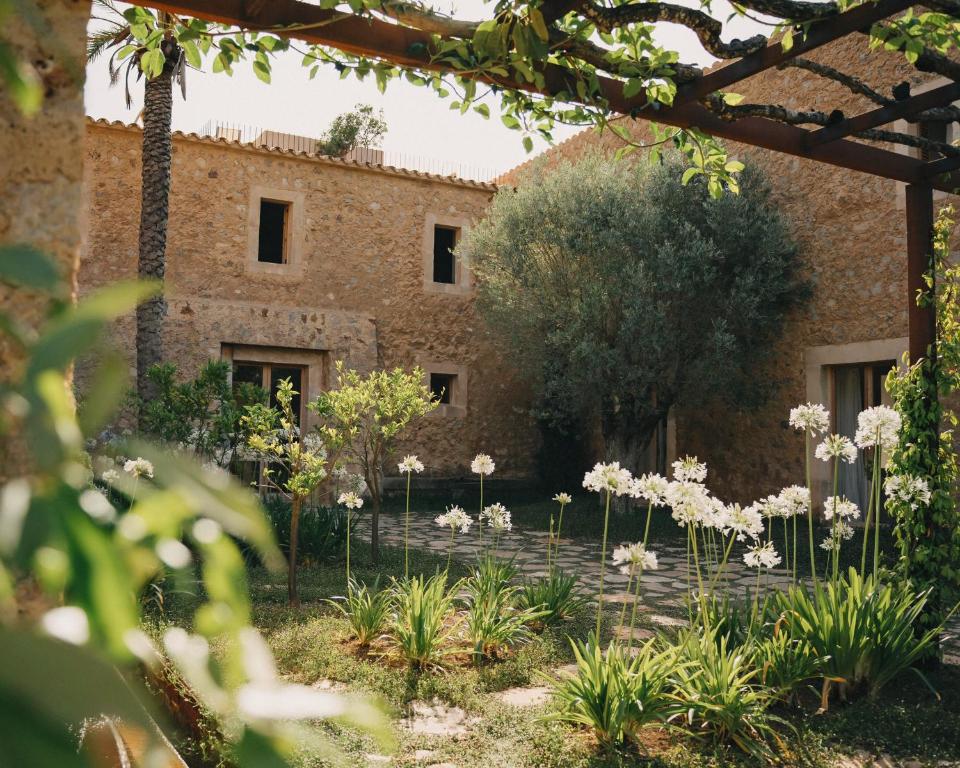 a garden with white flowers in front of a building at Es Racó d´Artà in Artá