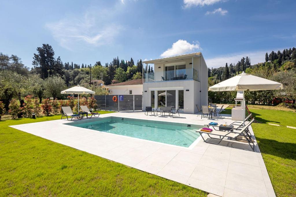 康托卡利的住宿－VILLA ELENA PRIVATE POOL Kontokali villas，庭院中带游泳池的房子