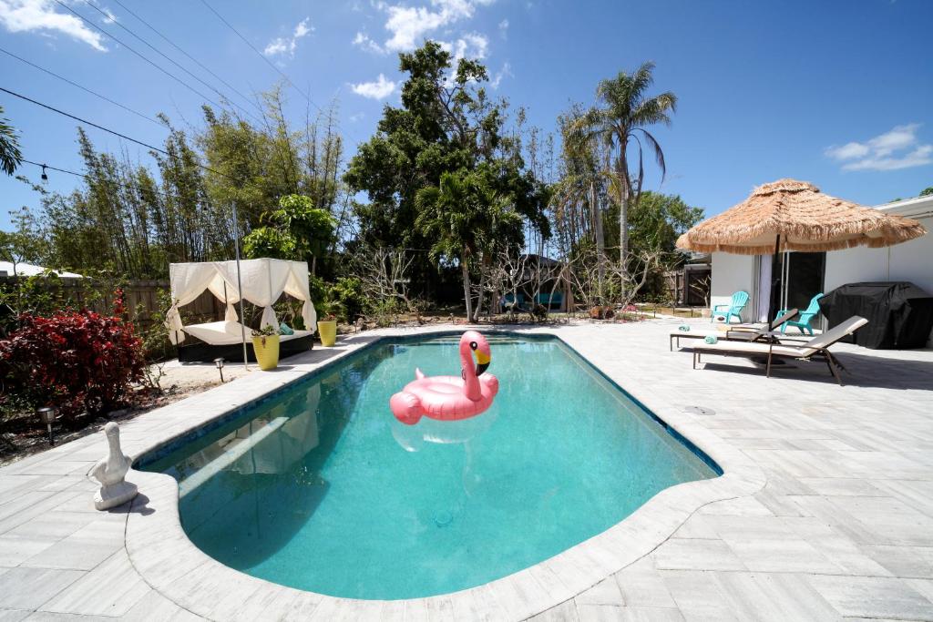 een zwembad met een roze zwaan erin bij Florida Mango Island /pool/beach/Legacy Trail in Venice