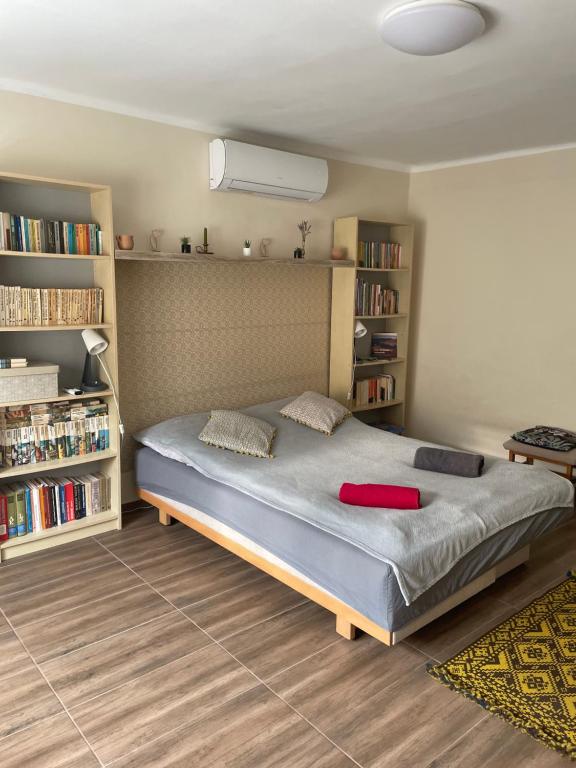 a bedroom with a bed and bookshelves at Keresztes Lak in Badacsonytördemic