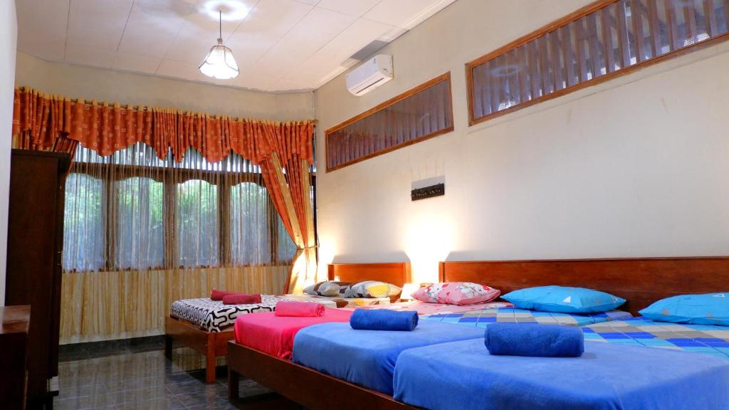 Sleepy Raccoon Hostel - 3