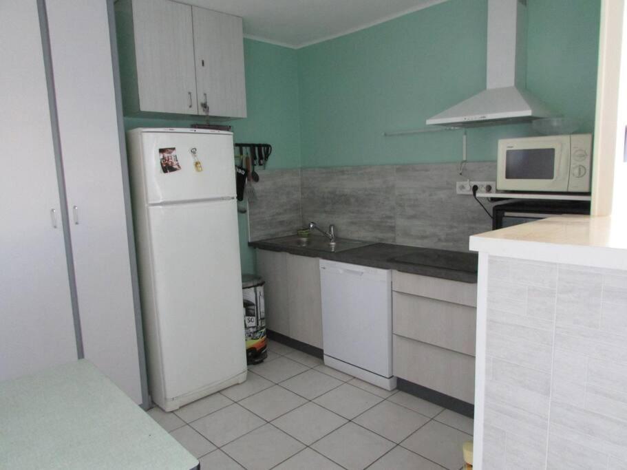 Kuchyňa alebo kuchynka v ubytovaní Appartement proche du Lydia