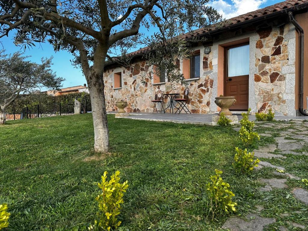 a stone house with a tree in the yard at Affitta camere Matta-Chiodino in Arzachena