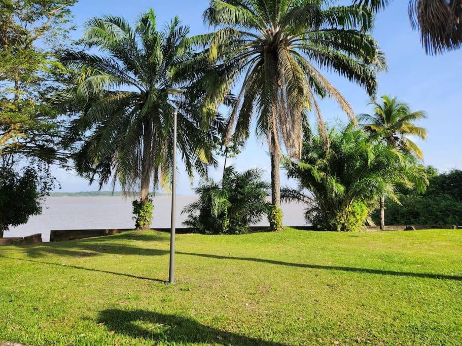 a palm tree in a grassy field next to the beach at Hello-Guyane, Marina 6, Suite Prestige 5 étoiles in Saint-Laurent du Maroni