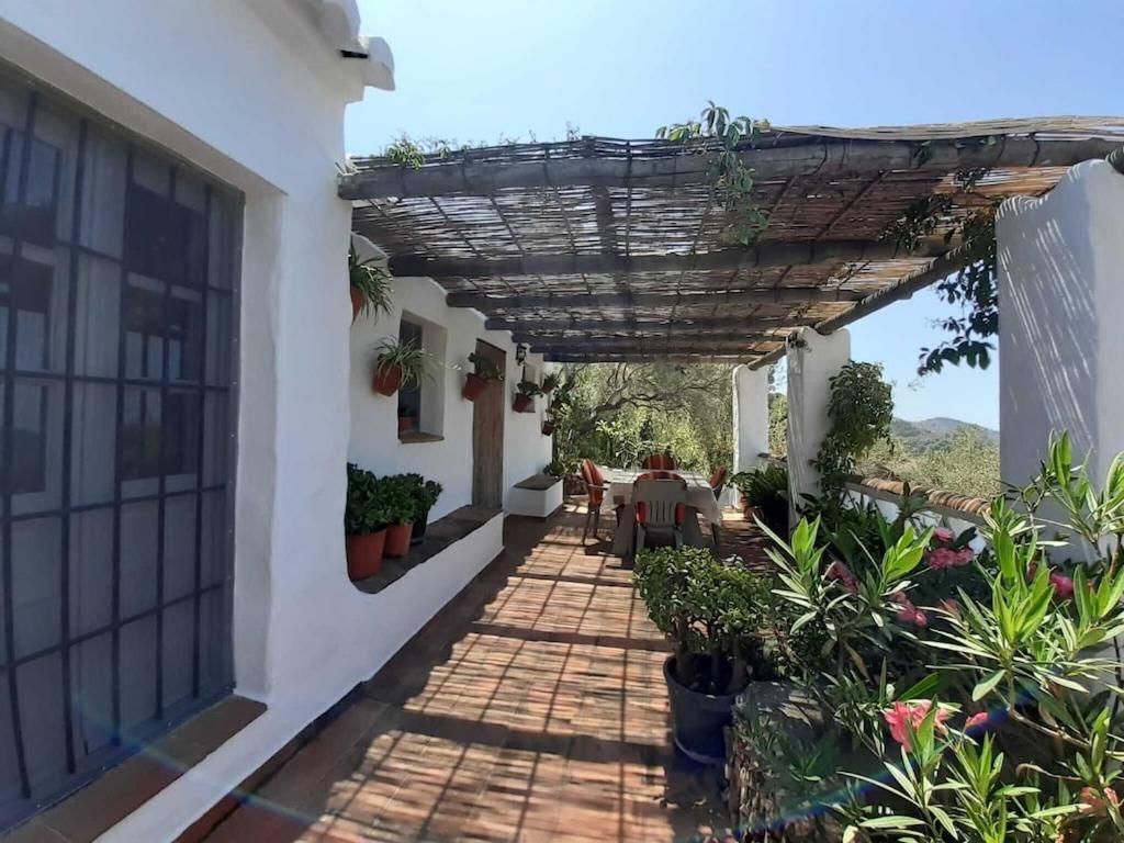 Vonkajšia záhrada v ubytovaní Cortijo típico andaluz en la sierra cerca de Frigiliana de Nerja y de las Playas