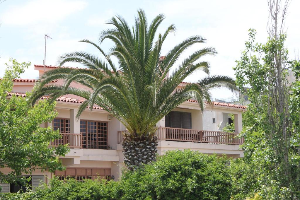 a palm tree in front of a building at Villa Cullinan in Kokóni