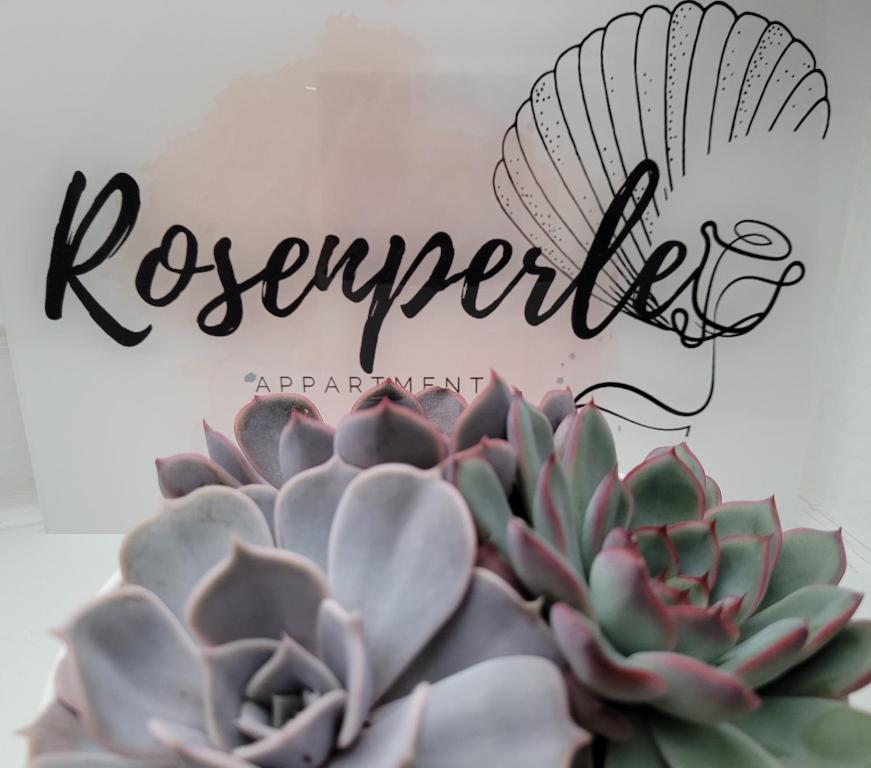 Fotografie z fotogalerie ubytování Rosenperle de - FeWo in Timmendorfer Strand v destinaci Timmendorfer Strand