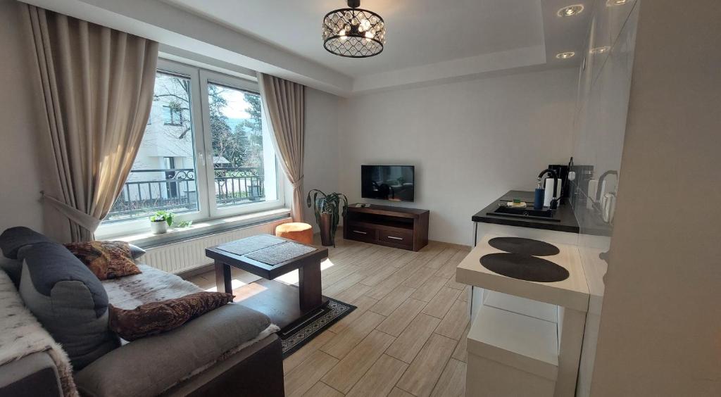 Televízia a/alebo spoločenská miestnosť v ubytovaní Apartamenty Biała Perła
