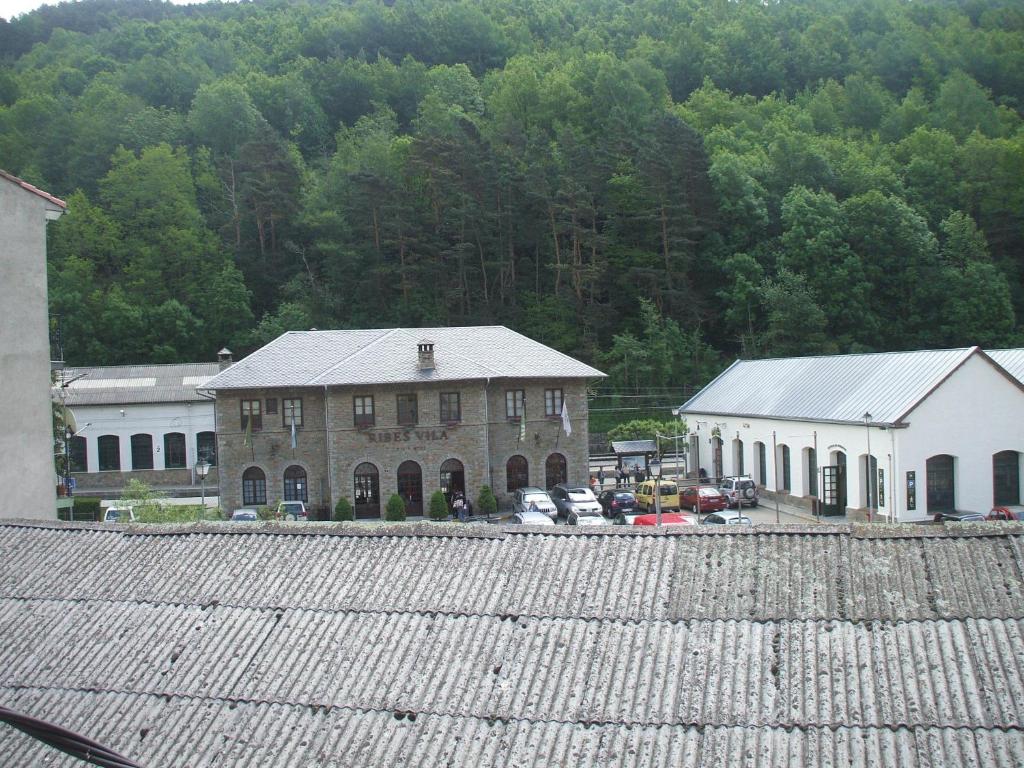 Příroda nedaleko penzionu