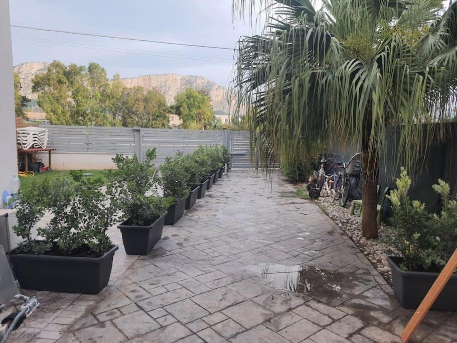 Zahrada ubytování Casa Poseidonia - intero alloggio in riva al mare
