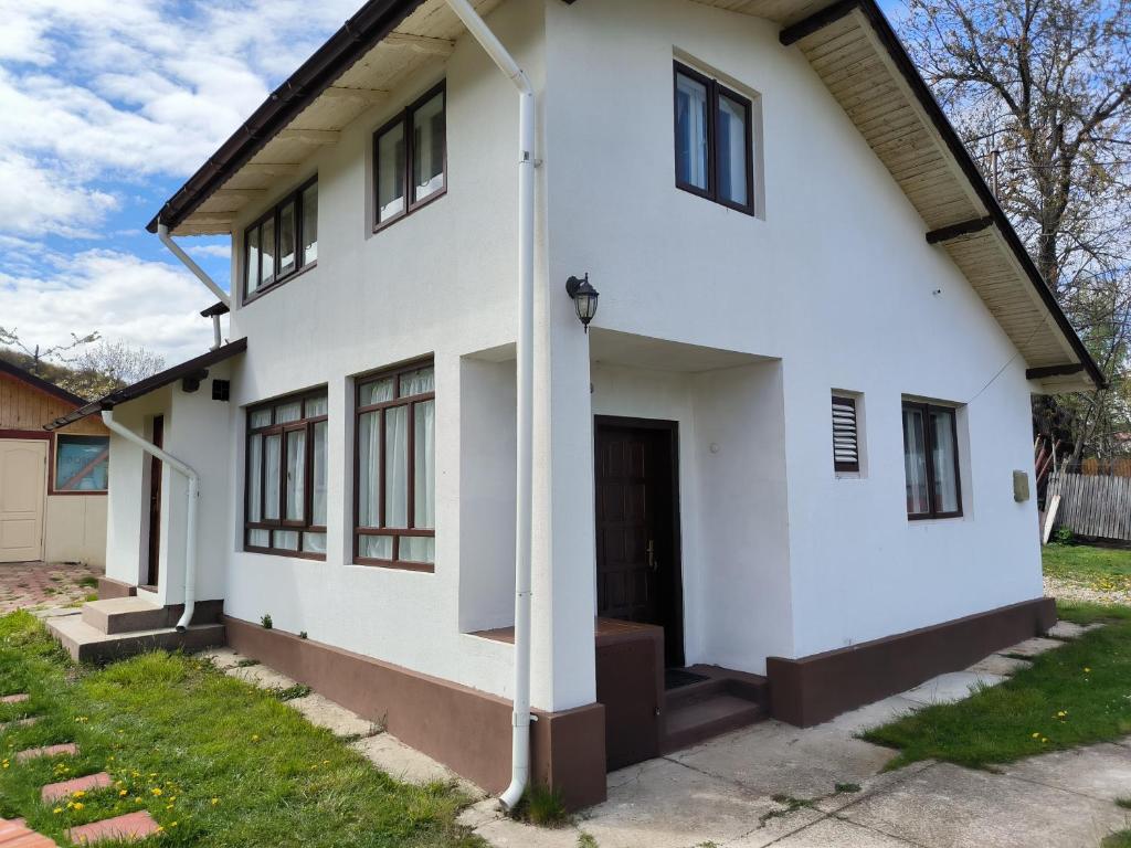 a white house with a pole in front of it at Casa Eliadi in Homorîciu