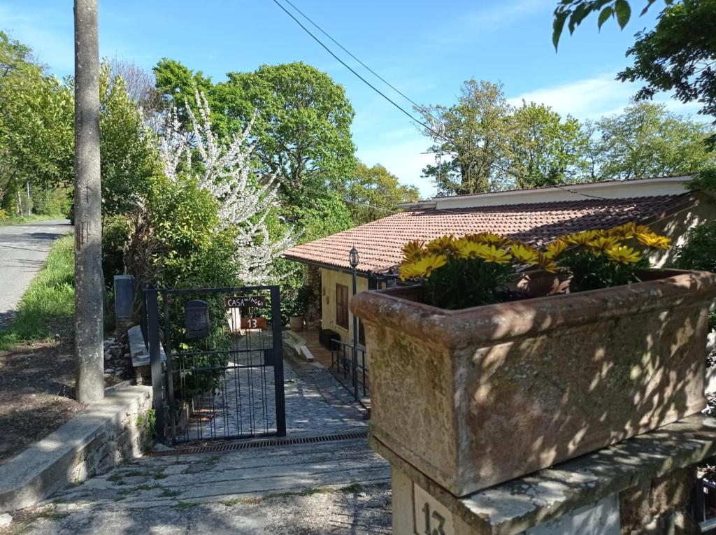 Zahrada ubytování Casa dei Faggi