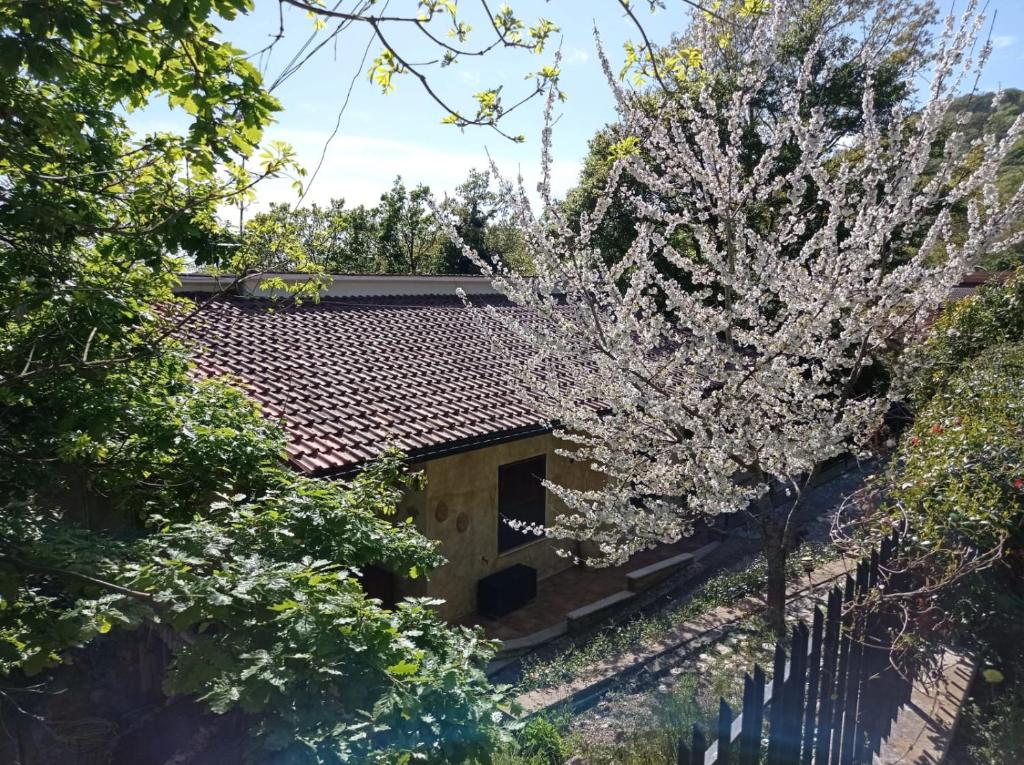 Zahrada ubytování Casa dei Faggi