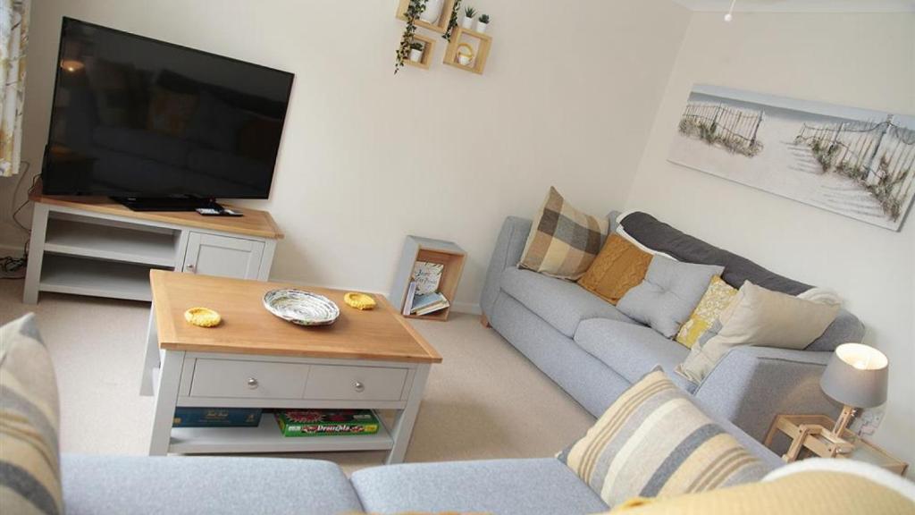 a living room with a couch and a tv at Honeycomb Cottage in The Mumbles