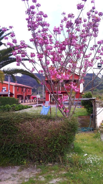 A garden outside Hotel El Sueve