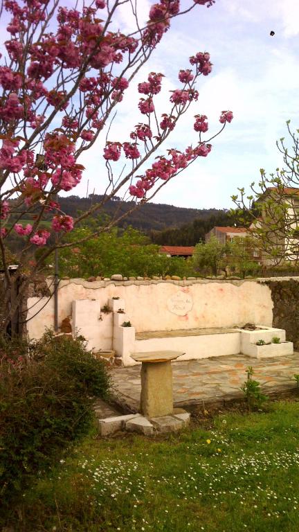 A garden outside Hotel El Sueve