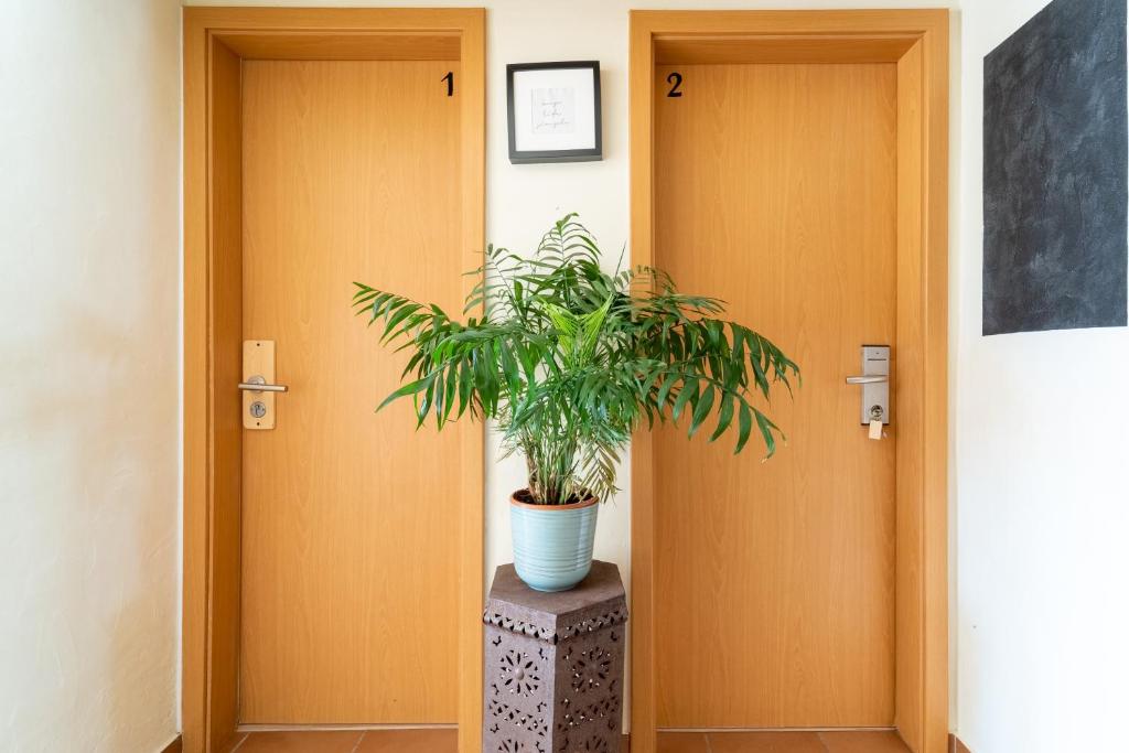 Fotografie z fotogalerie ubytování Aljezur Villas v destinaci Aljezur