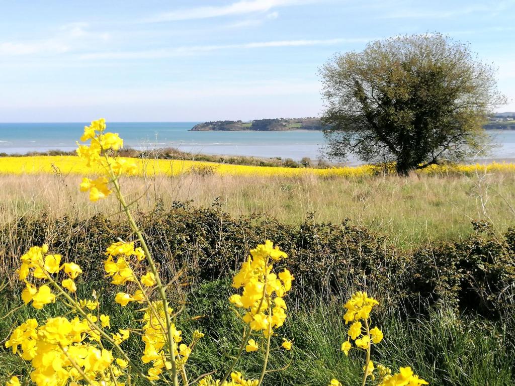 ein Feld gelber Blumen mit einem Baum im Hintergrund in der Unterkunft le Ti&#39;Nid - Gîte de charme - Vue Mer in Langueux