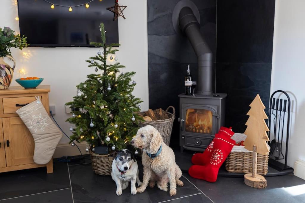 two dogs sitting next to a christmas tree and a fireplace at North Beer Cottage in Launceston